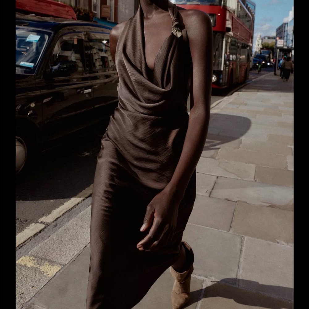 Zara Backless Satin Brown Dress